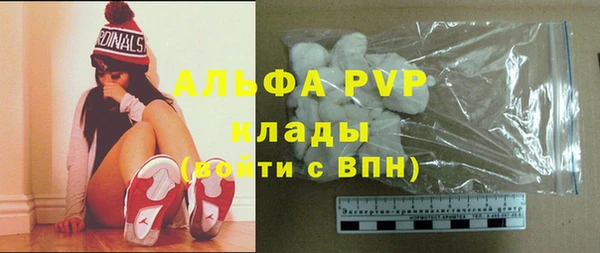 молекула духа Белоозёрский
