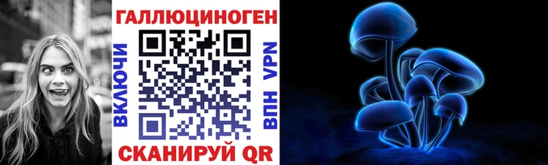 Галлюциногенные грибы Psilocybe  shop клад  Кстово 